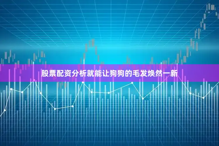 股票配资分析就能让狗狗的毛发焕然一新