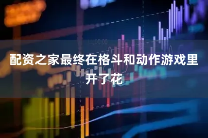 配资之家最终在格斗和动作游戏里开了花